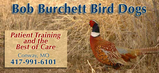 burchett header