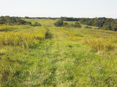 Bob Burchett training grounds