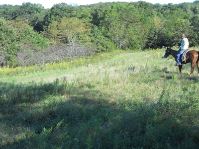 Bob Burchett training grounds