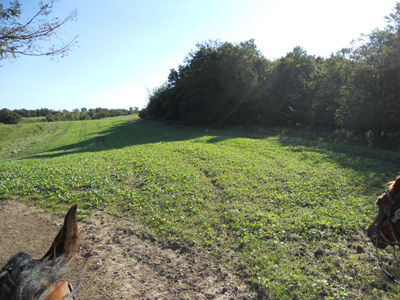 Bob Burchett training grounds